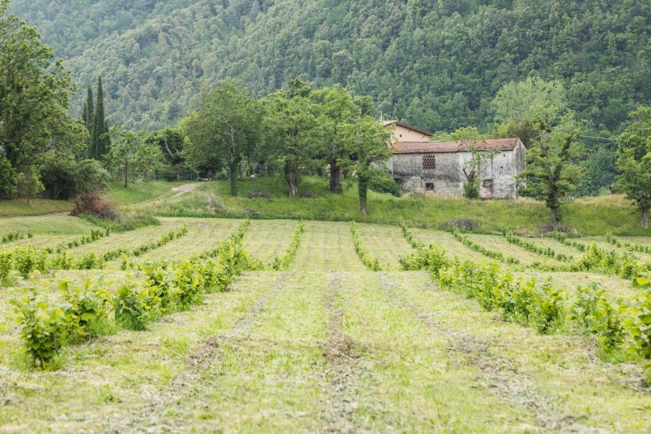 Podere Groppini Fivizzano Buitenkant foto