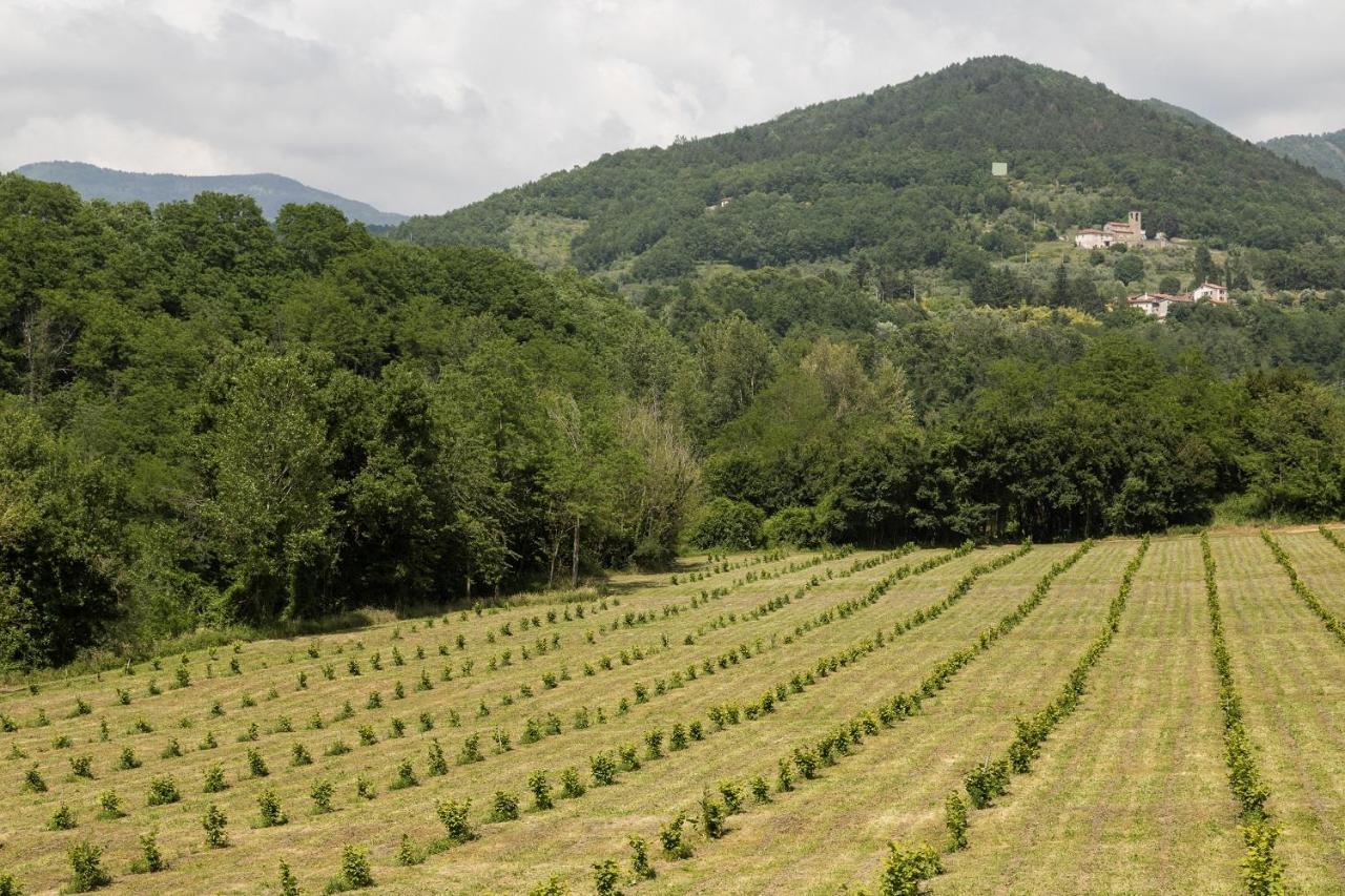 Podere Groppini Fivizzano Buitenkant foto