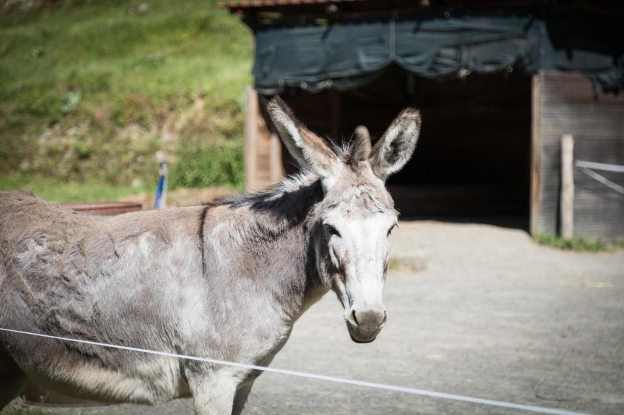 Podere Groppini Fivizzano Buitenkant foto