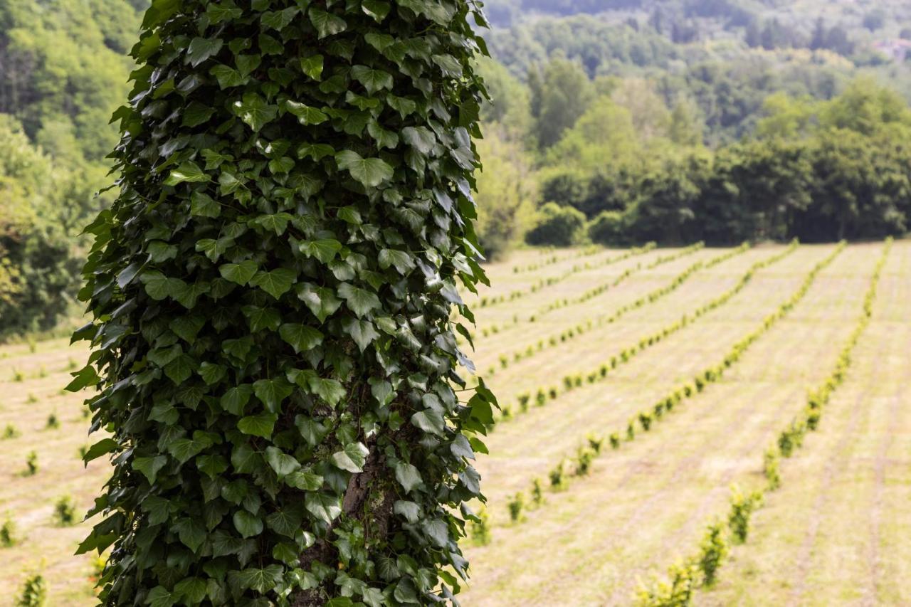 Podere Groppini Fivizzano Buitenkant foto