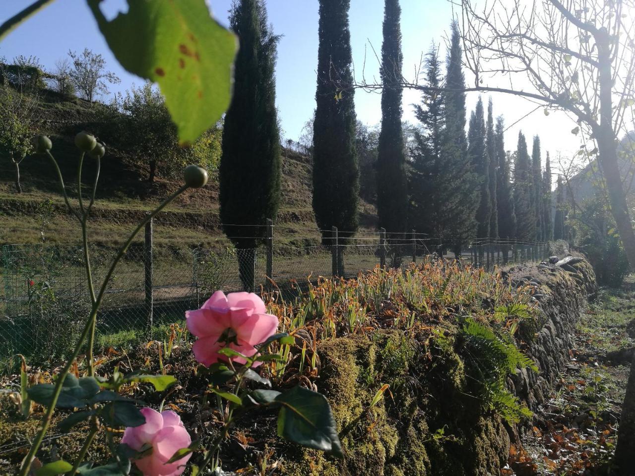 Podere Groppini Fivizzano Buitenkant foto