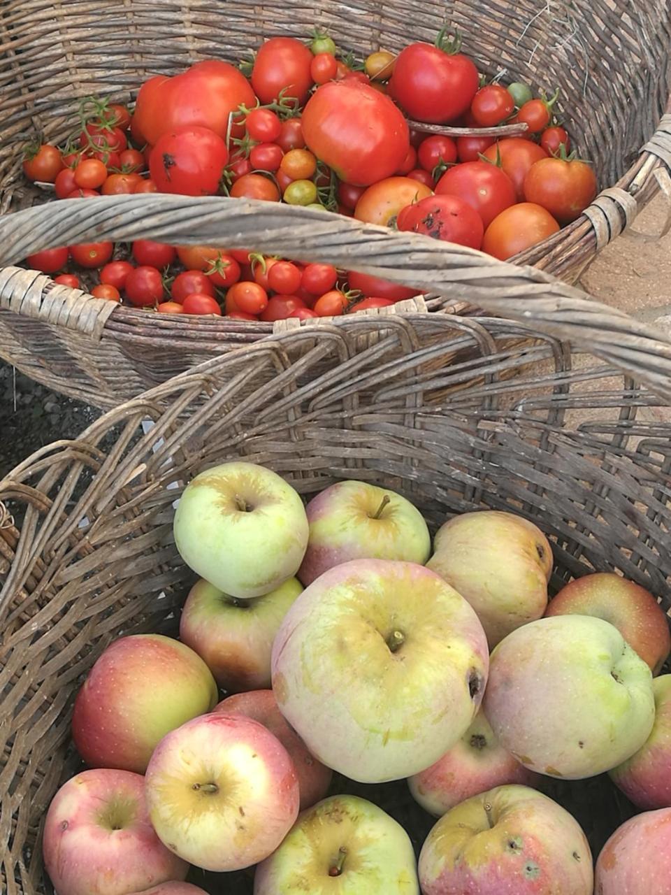 Podere Groppini Fivizzano Buitenkant foto