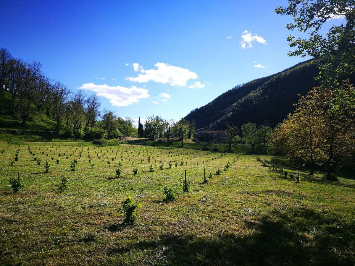 Podere Groppini Fivizzano Buitenkant foto