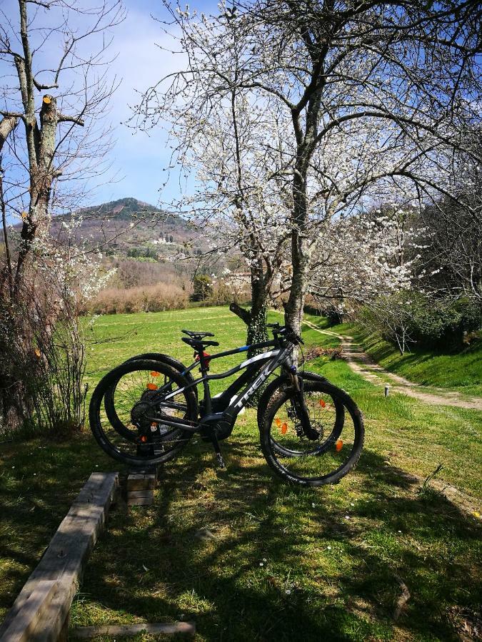Podere Groppini Fivizzano Buitenkant foto