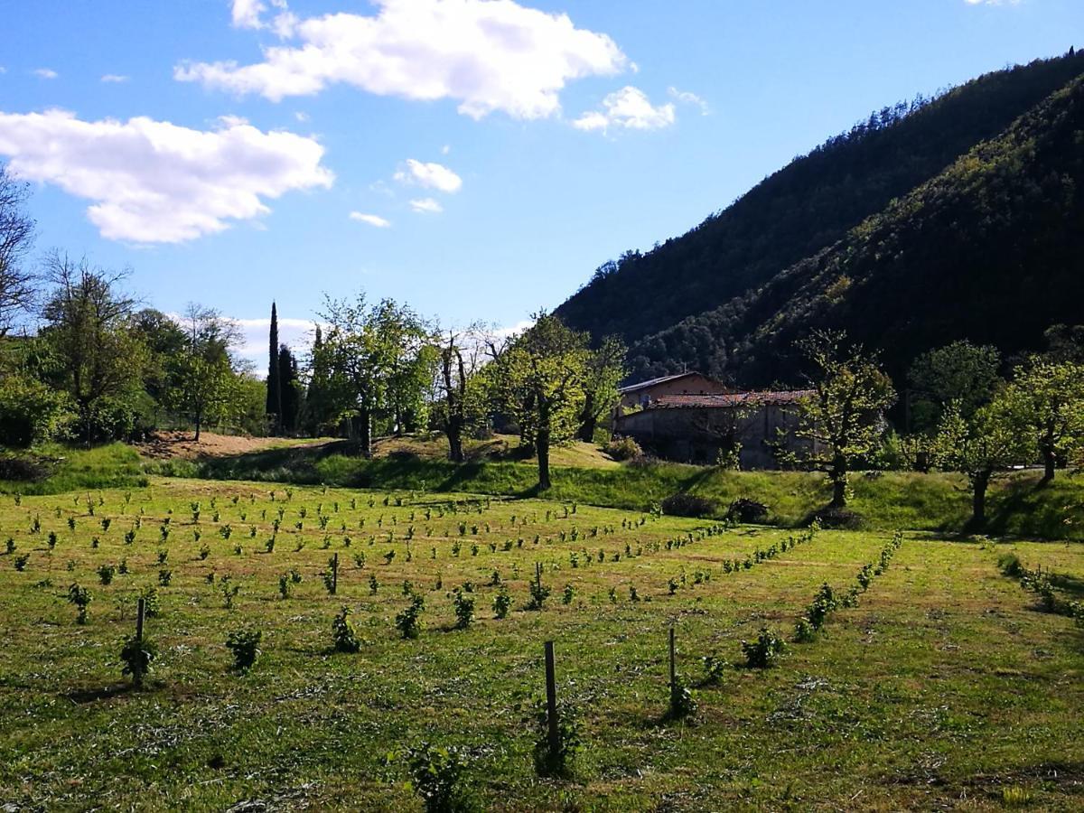 Podere Groppini Fivizzano Buitenkant foto